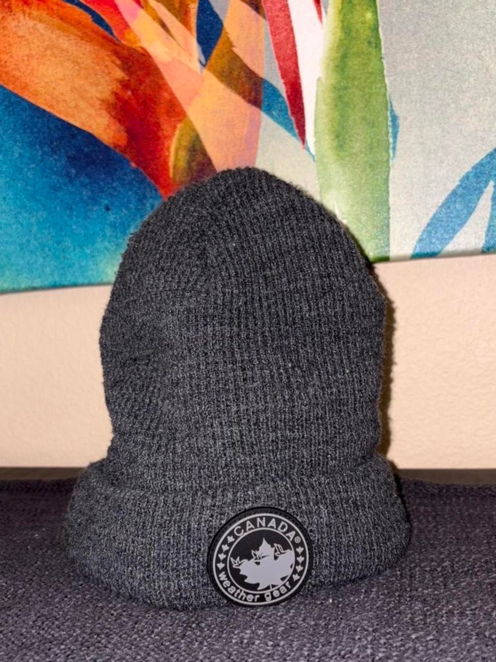Canada Weather Gear Charcoal Knit Beanie Outdoor Winter Grade Headwear